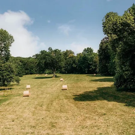 Prázdninový dům Chateau De Marigne - De Charme- 15 Pl *
