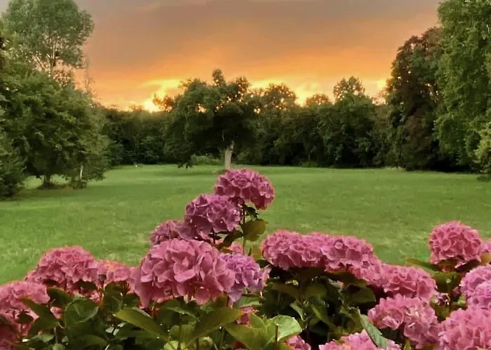 Chateau De Marigne - De Charme- 15 Pl