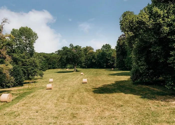 Vakantiehuis Chateau De Marigne - De Charme- 15 Pl *